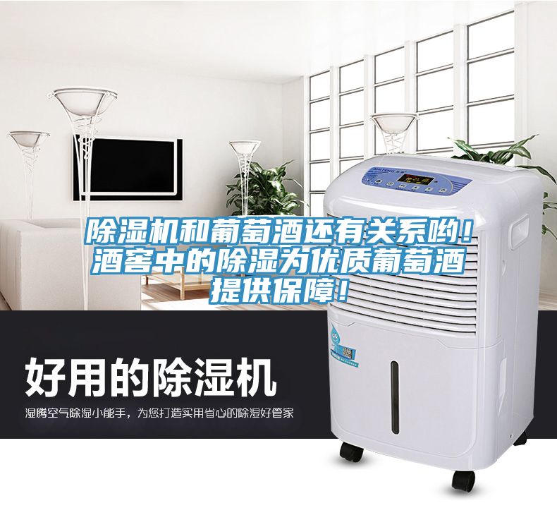 草莓视频污污污污和葡萄酒還有關係喲！酒窖中的除濕為優質葡萄酒提供保障！