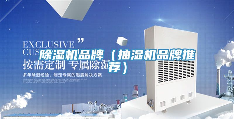 草莓视频污污污污品牌（抽濕機品牌推薦）