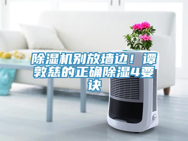 草莓视频污污污污別放牆邊！譚敦慈的正確除濕4要訣