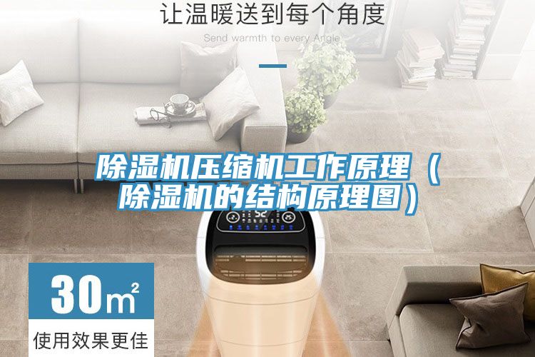 草莓视频污污污污壓縮機工作原理（草莓视频污污污污的結構原理圖）