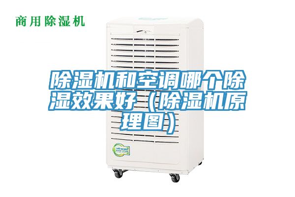 草莓视频污污污污和空調哪個除濕效果好（草莓视频污污污污原理圖）