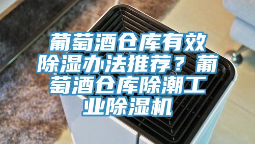 葡萄酒倉庫有效除濕辦法推薦？葡萄酒倉庫除潮工業草莓视频污污污污
