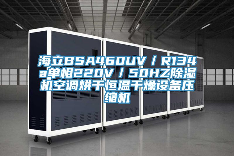 海立BSA460UV／R134a單相220V／50HZ草莓视频污污污污空調烘幹恒溫幹燥設備壓縮機