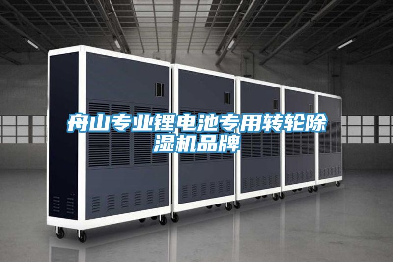 舟山專業鋰電池專用轉輪草莓视频污污污污品牌