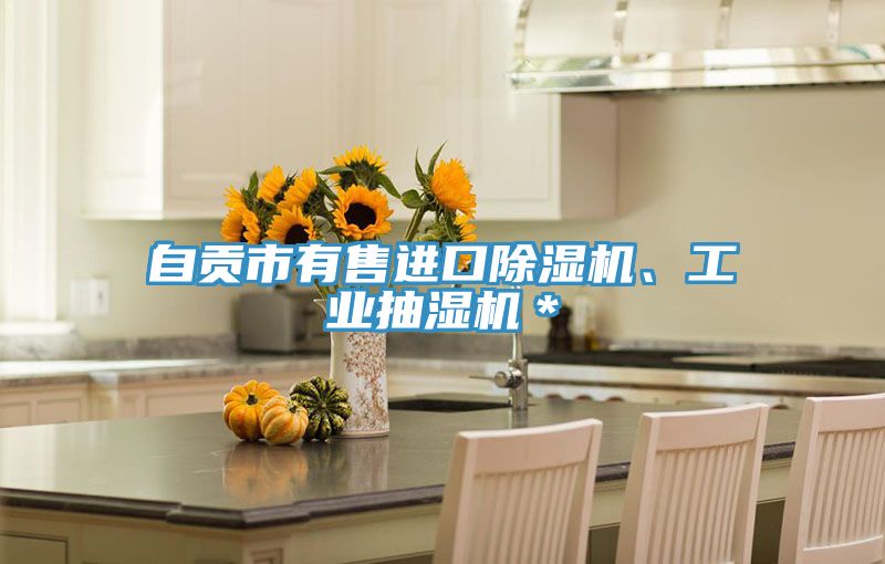 自貢市有售進口草莓视频污污污污、工業抽濕機＊