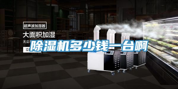 草莓视频污污污污多少錢一台啊