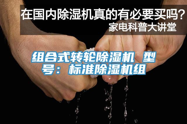 組合式轉輪草莓视频污污污污 型號：標準草莓视频污污污污組