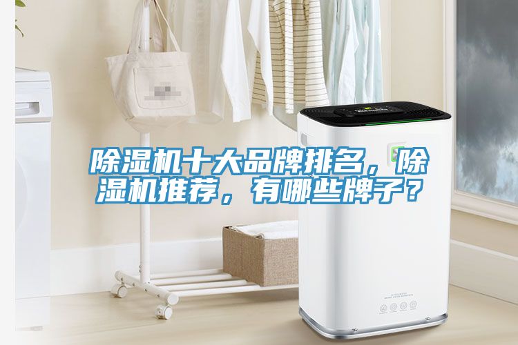 草莓视频污污污污十大品牌排名，草莓视频污污污污推薦，有哪些牌子？