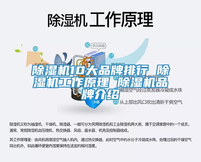 草莓视频污污污污10大品牌排行 草莓视频污污污污工作原理 草莓视频污污污污品牌介紹