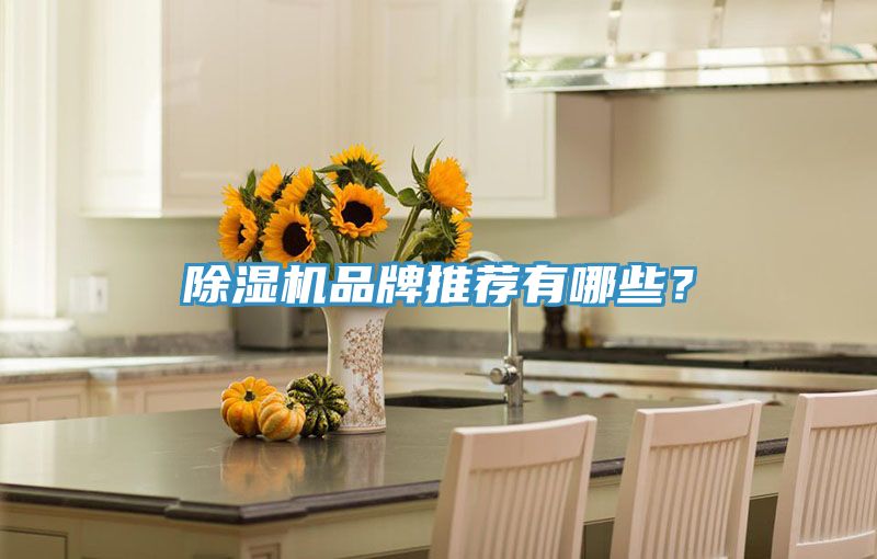 草莓视频污污污污品牌推薦有哪些？