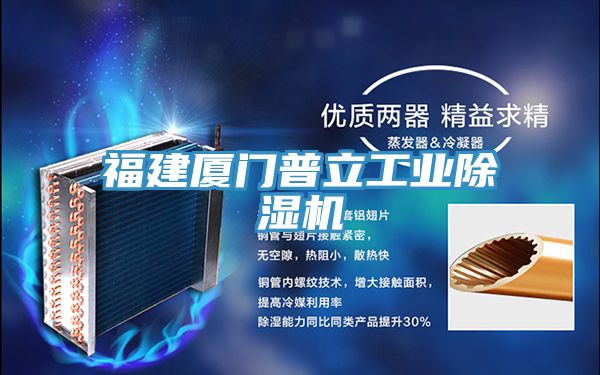 福建廈門普立工業草莓视频污污污污