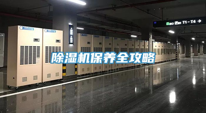 草莓视频污污污污保養全攻略