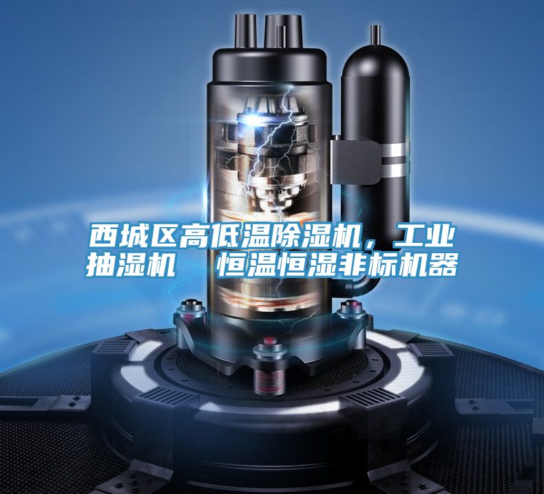 西城區高低溫草莓视频污污污污，工業抽濕機  恒溫恒濕非標機器