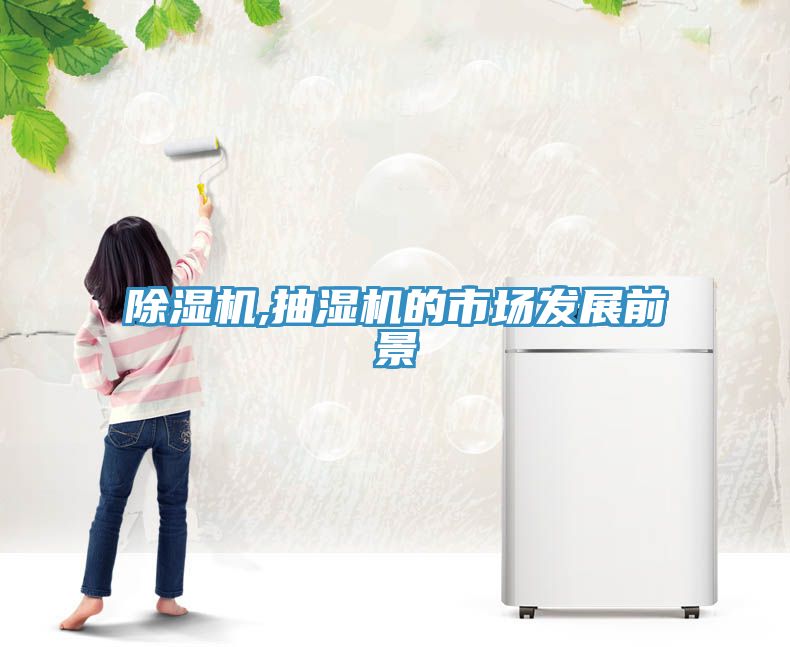 草莓视频污污污污,抽濕機的市場發展前景