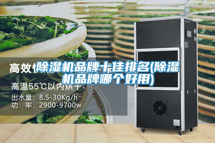草莓视频污污污污品牌十佳排名(草莓视频污污污污品牌哪個好用)