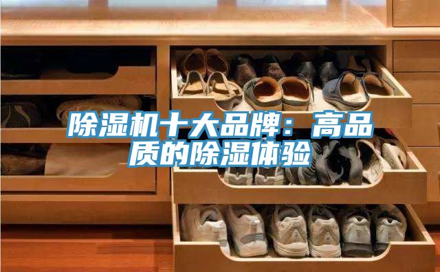 草莓视频污污污污十大品牌：高品質的除濕體驗
