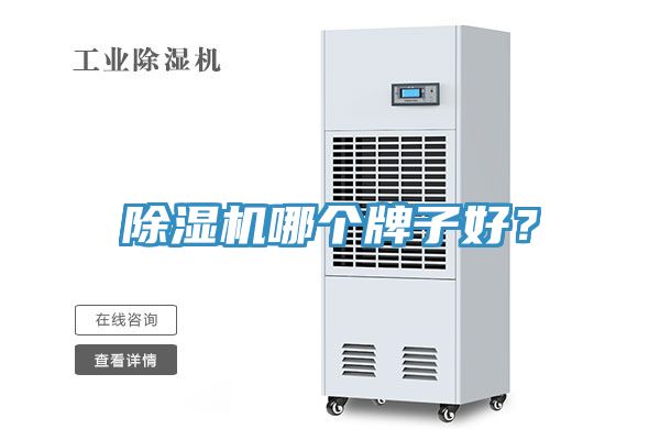 草莓视频污污污污哪個牌子好？