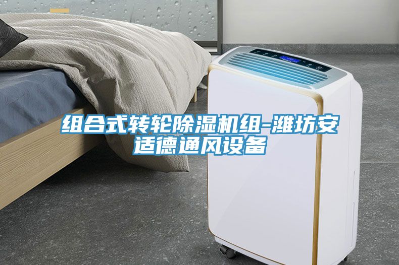 組合式轉輪草莓视频污污污污組-濰坊安適德通風設備