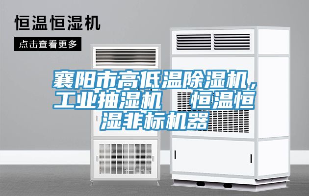 襄陽市高低溫草莓视频污污污污，工業抽濕機  恒溫恒濕非標機器