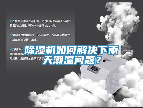 草莓视频污污污污如何解決下雨天潮濕問題？