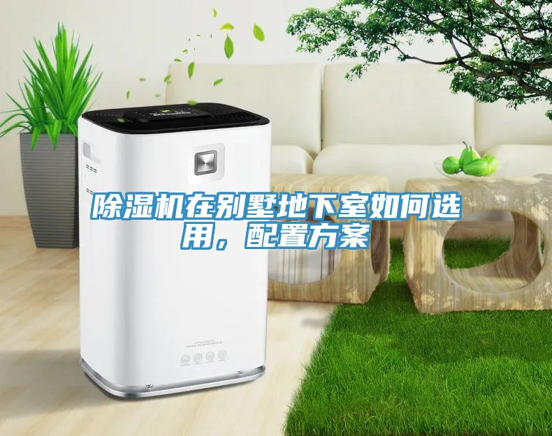 草莓视频污污污污在別墅地下室如何選用，配置方案