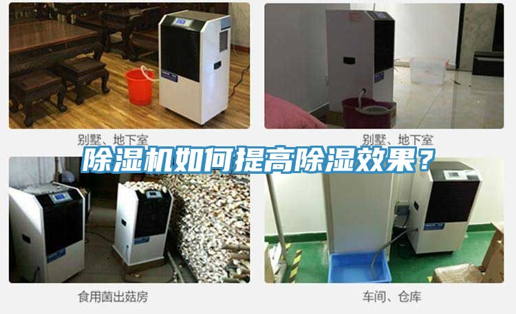 草莓视频污污污污如何提高除濕效果？