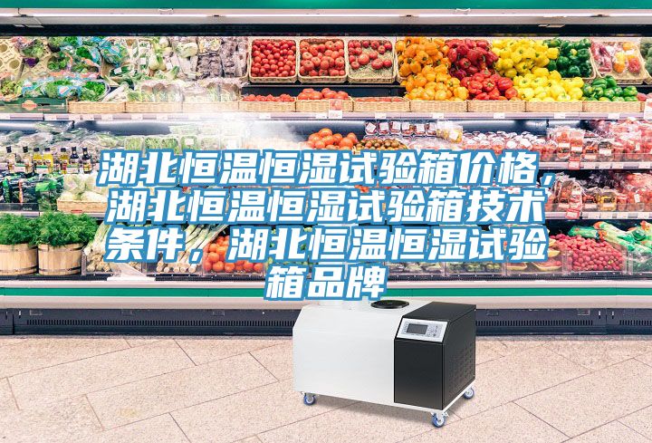湖北恒溫恒濕試驗箱價格，湖北恒溫恒濕試驗箱技術條件，湖北恒溫恒濕試驗箱品牌
