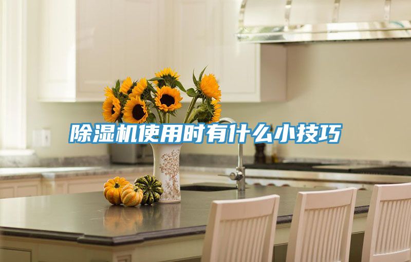 草莓视频污污污污使用時有什麽小技巧