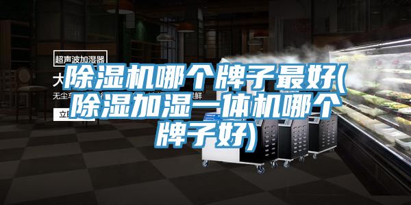 草莓视频污污污污哪個牌子最好(除濕加濕一體機哪個牌子好)