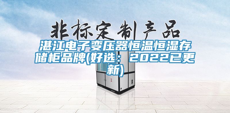 湛江電子變壓器恒溫恒濕存儲櫃品牌(好選：2022已更新)