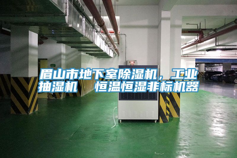 眉山市地下室草莓视频污污污污，工業抽濕機  恒溫恒濕非標機器