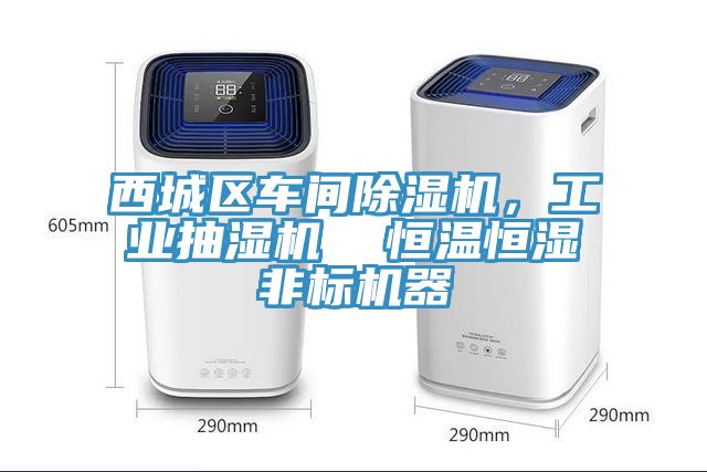 西城區車間草莓视频污污污污，工業抽濕機  恒溫恒濕非標機器