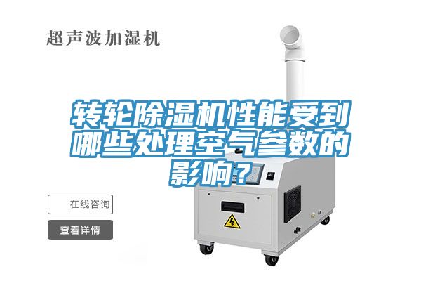 轉輪草莓视频污污污污性能受到哪些處理空氣參數的影響？