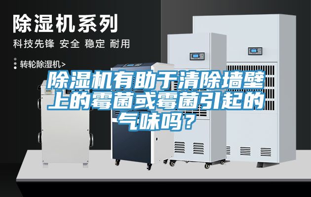 草莓视频污污污污有助於清除牆壁上的黴菌或黴菌引起的氣味嗎？