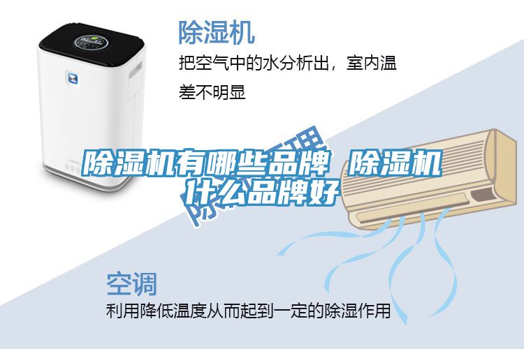 草莓视频污污污污有哪些品牌 草莓视频污污污污什麽品牌好