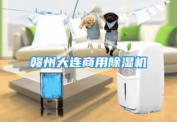 贛州大連商用草莓视频污污污污