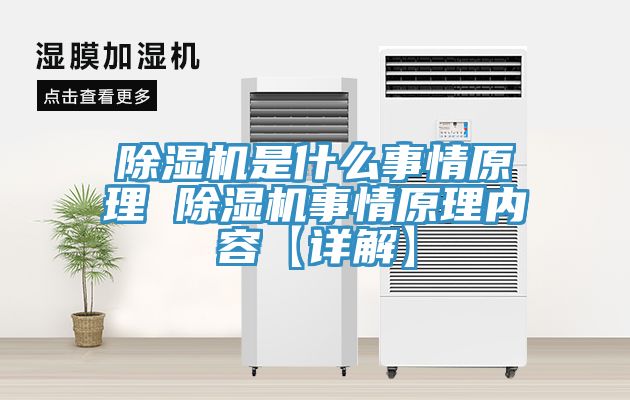 草莓视频污污污污是什麽事情原理 草莓视频污污污污事情原理內容【詳解】