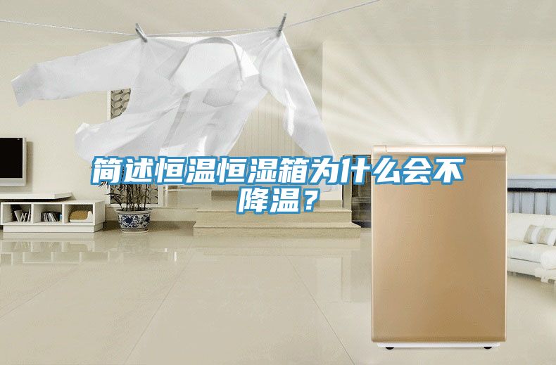 簡述恒溫恒濕箱為什麽會不降溫？