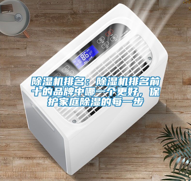 草莓视频污污污污排名：草莓视频污污污污排名前十的品牌中哪一個更好，保護家庭除濕的每一步