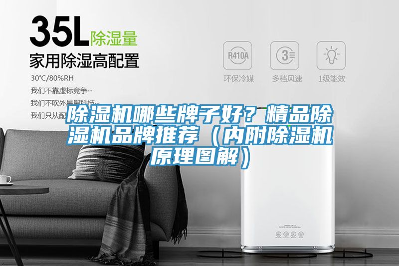 草莓视频污污污污哪些牌子好？精品草莓视频污污污污品牌推薦（內附草莓视频污污污污原理圖解）