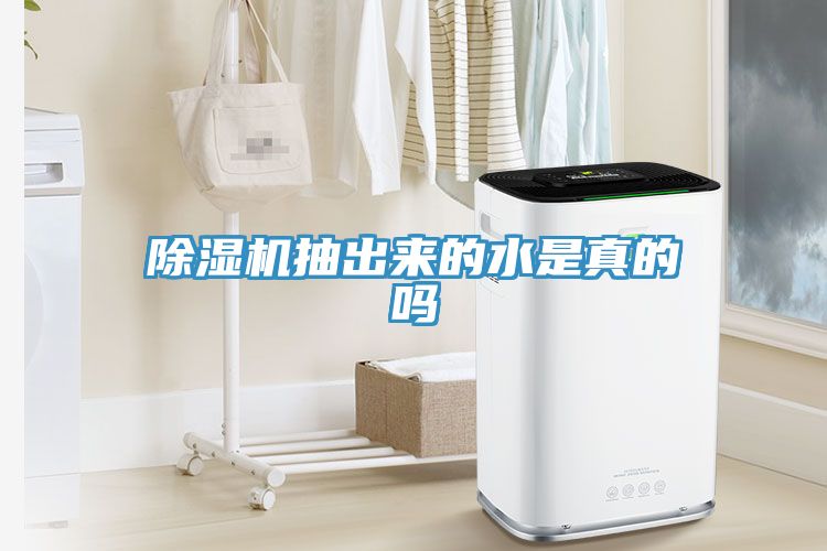 草莓视频污污污污抽出來的水是真的嗎