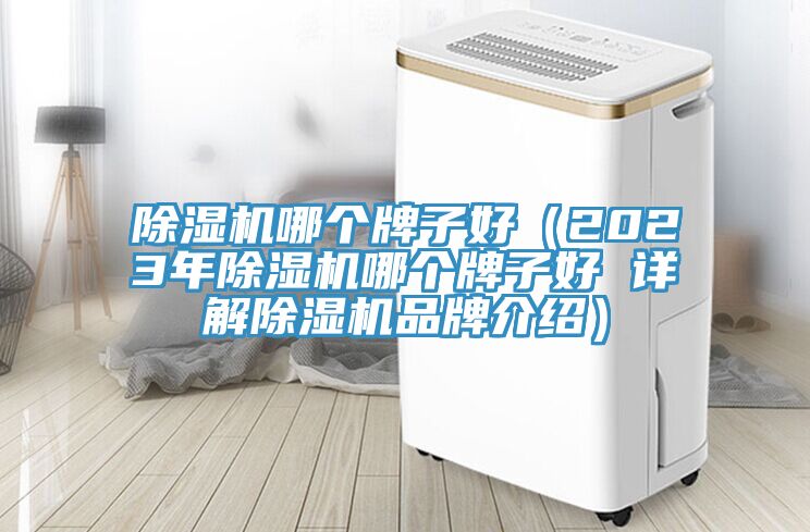 草莓视频污污污污哪個牌子好（2023年草莓视频污污污污哪個牌子好 詳解草莓视频污污污污品牌介紹）