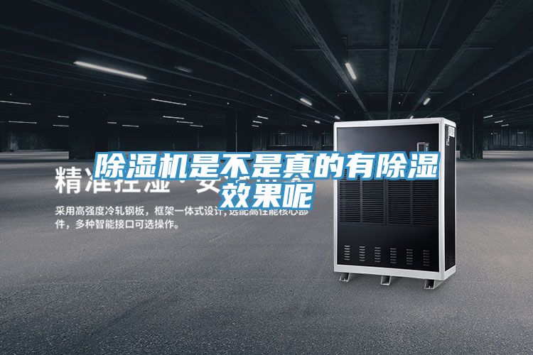草莓视频污污污污是不是真的有除濕效果呢