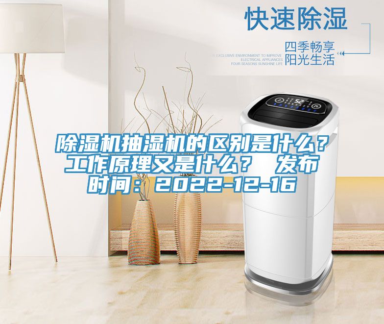 草莓视频污污污污抽濕機的區別是什麽？工作原理又是什麽？ 發布時間：2022-12-16