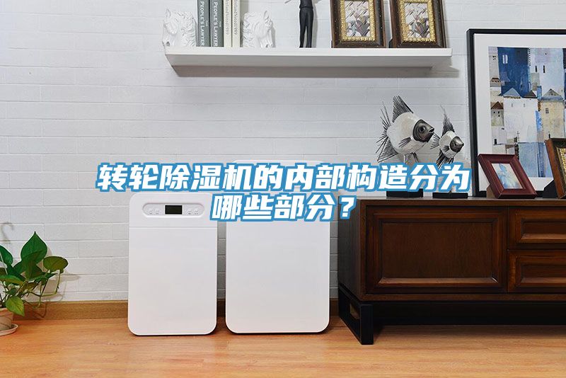 轉輪草莓视频污污污污的內部構造分為哪些部分？