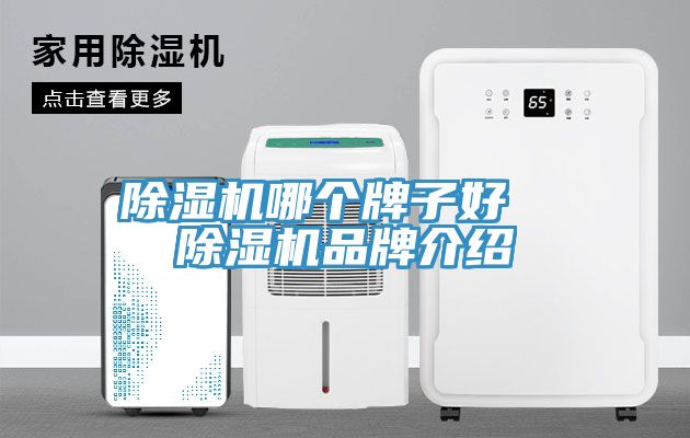 草莓视频污污污污哪個牌子好  草莓视频污污污污品牌介紹