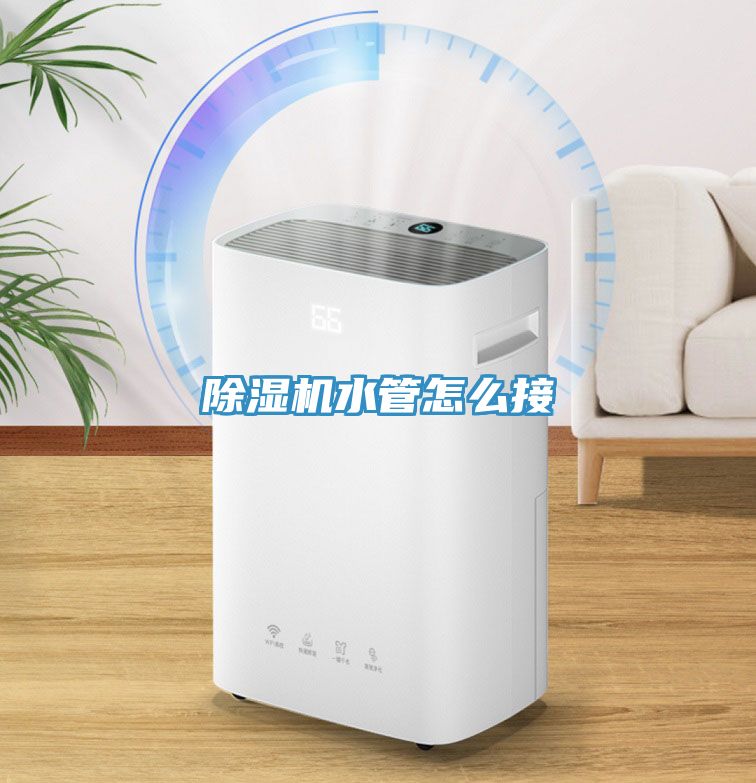 草莓视频污污污污水管怎麽接
