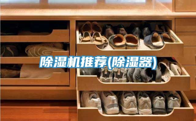 草莓视频污污污污推薦(除濕器)