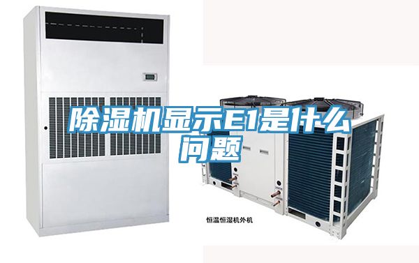 草莓视频污污污污顯示E1是什麽問題