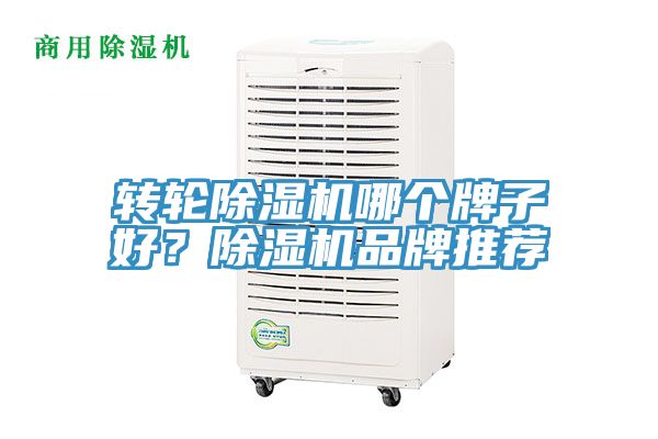轉輪草莓视频污污污污哪個牌子好？草莓视频污污污污品牌推薦